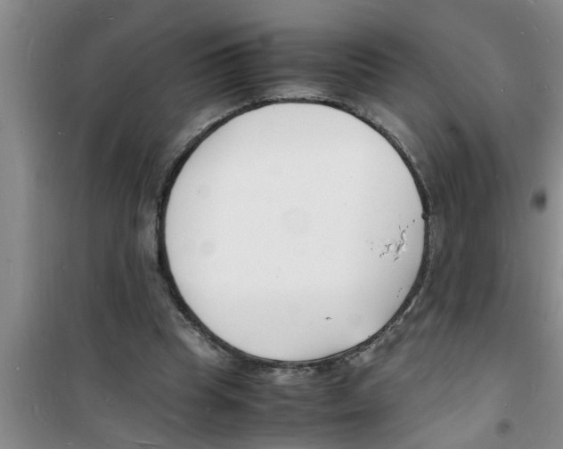 X0000100980345200807221238