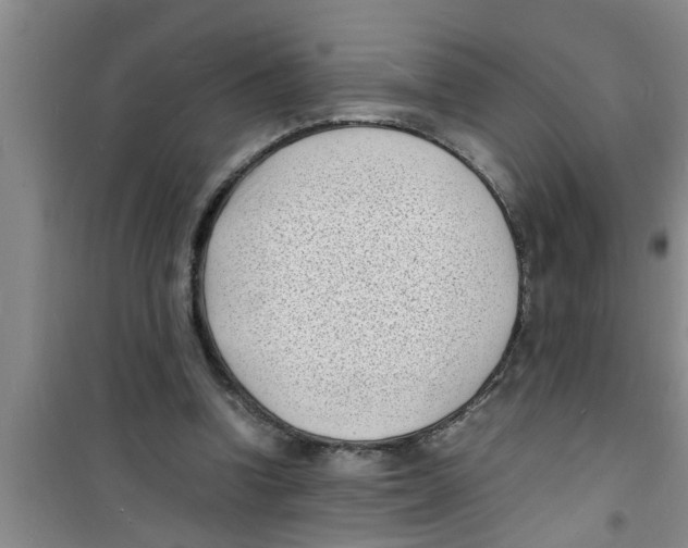 X0000100980346200807221238