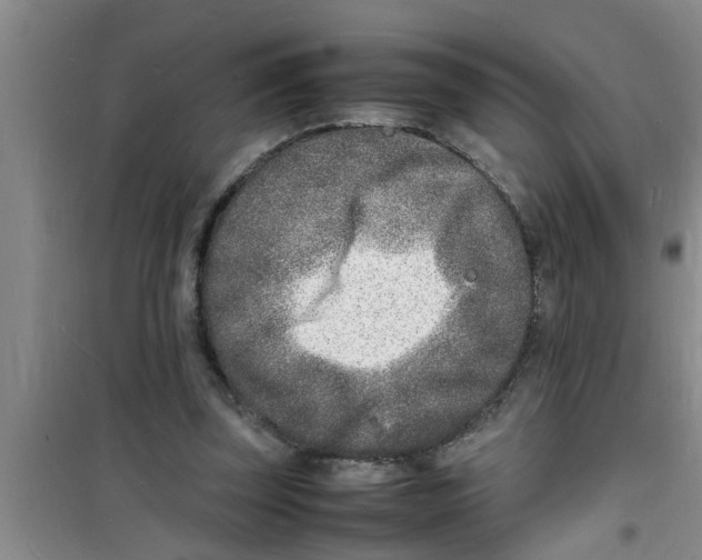 X0000100980347200807221238