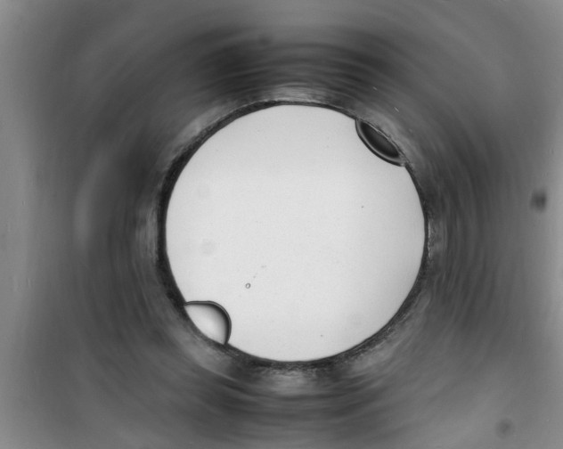 X0000100980349200807221238