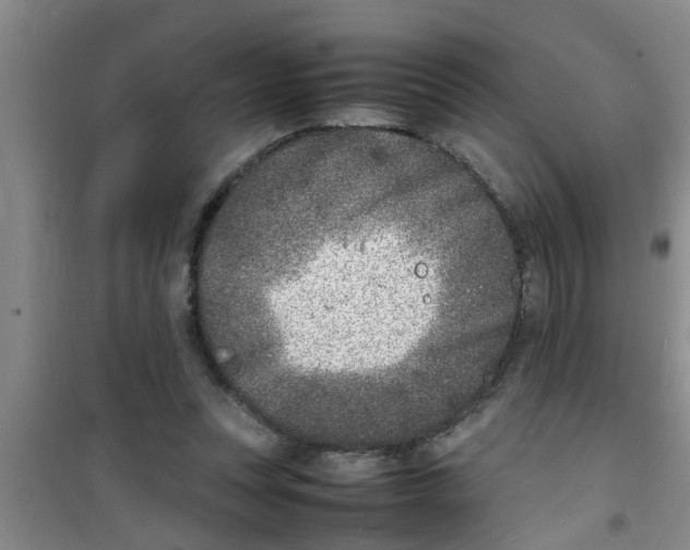 X0000100980351200807221238