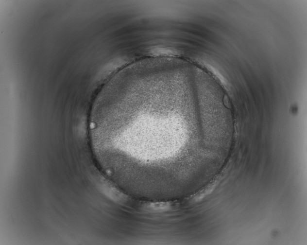 X0000100980353200807221238