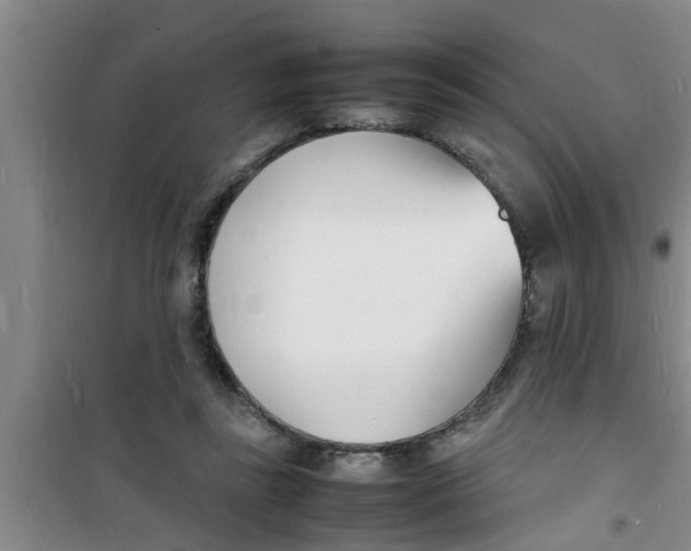 X0000100980355200807221238