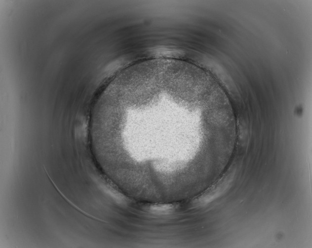 X0000100980357200807221238