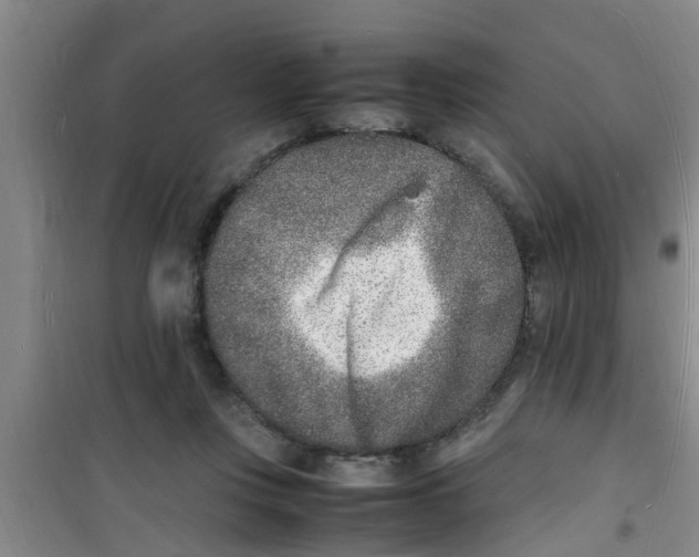 X0000100980359200807221238