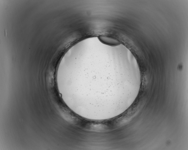 X0000100980360200807221238