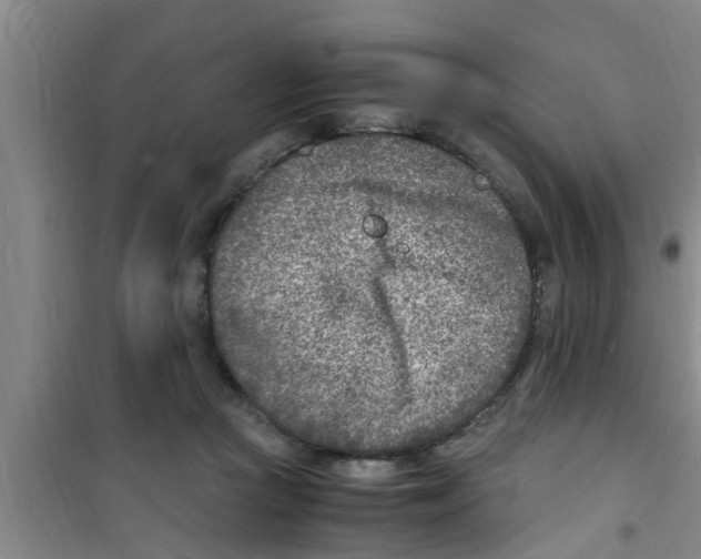 X0000100980361200807221239