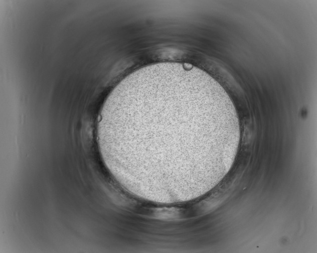 X0000100980363200807221239