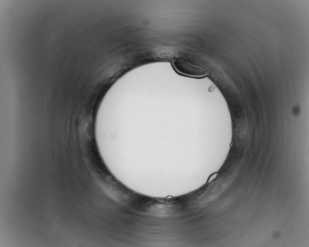 X0000100980364200807221239