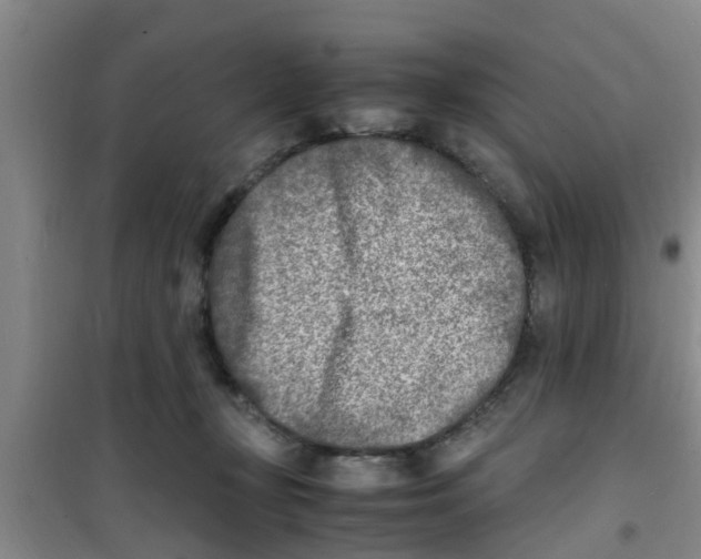 X0000100980367200807221239