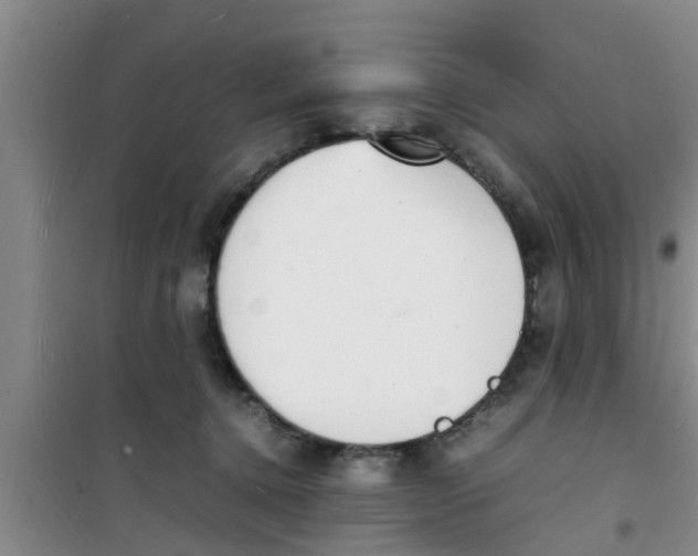 X0000100980368200807221239