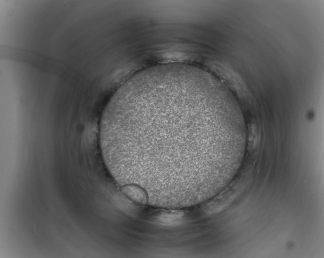 X0000100980369200807221239