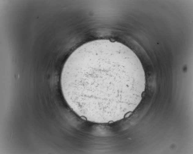 X0000100980372200807221239