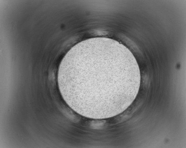 X0000100980373200807221239