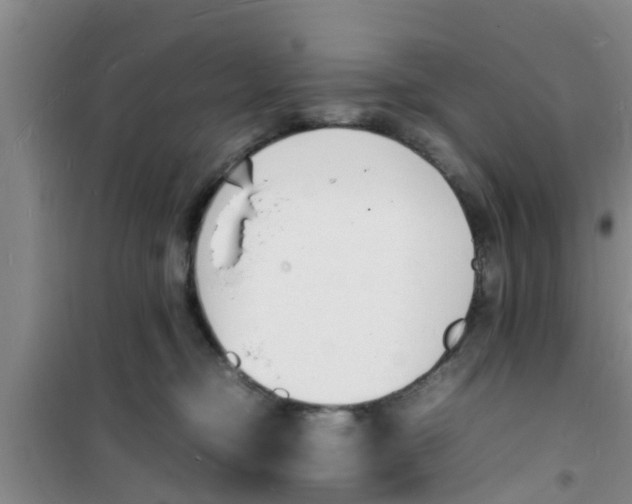 X0000100980374200807221239