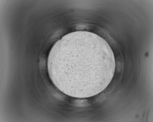 X0000100980375200807221239