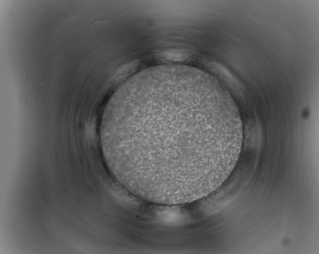 X0000100980377200807221239