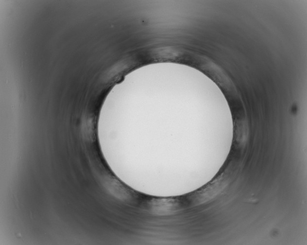 X0000100980378200807221239