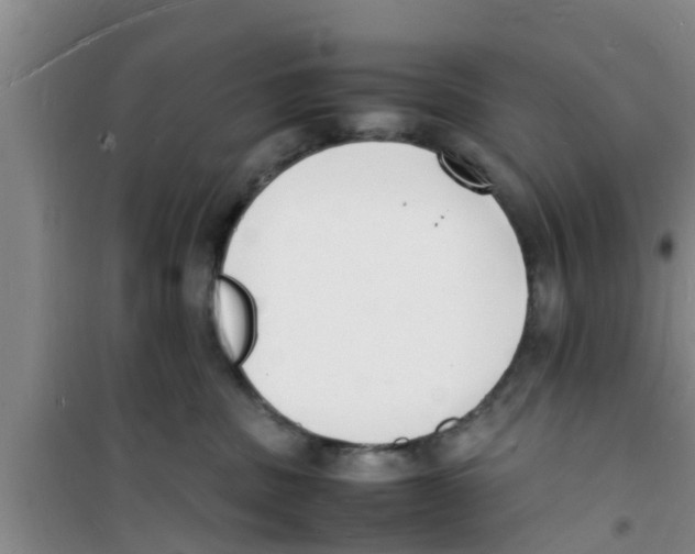 X0000100980379200807221239