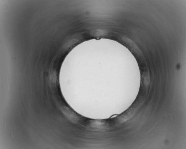 X0000100980380200807221239