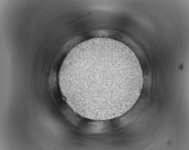 X0000100980381200807221239