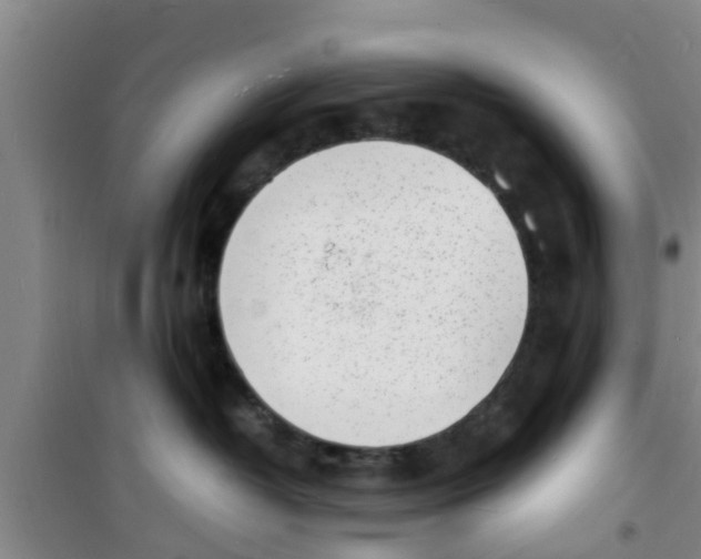 X0000100980382200807221239