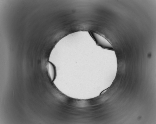 X0000100980383200807221239