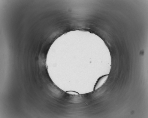 X0000100980384200807221239