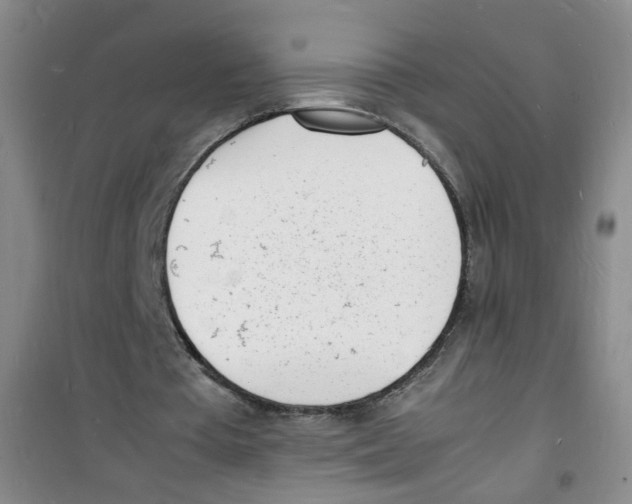 X0000100980385200807221238