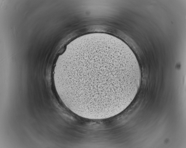 X0000100980386200807221238