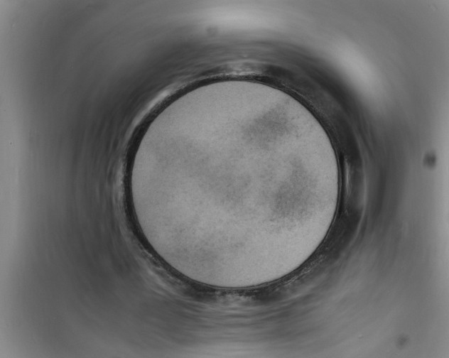 X0000100980387200807221238