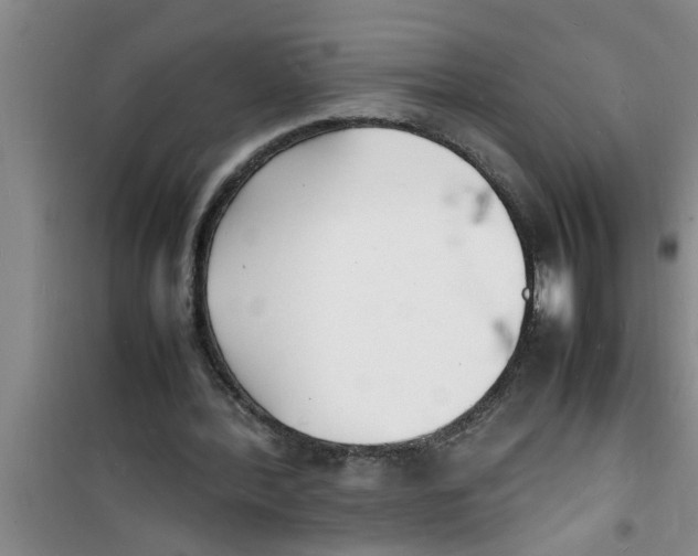 X0000100980388200807221238