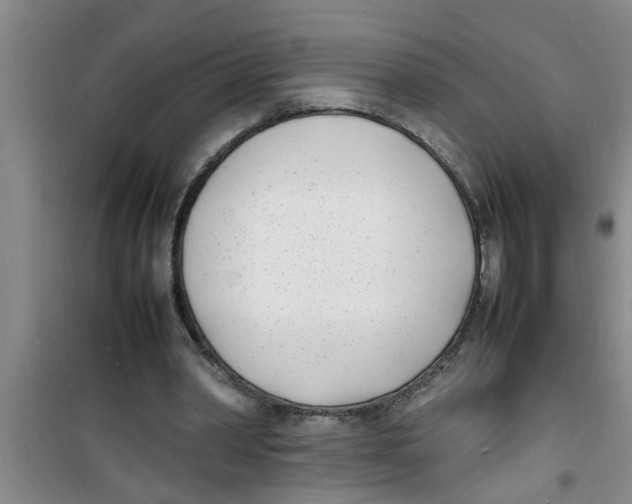 X0000100980390200807221238