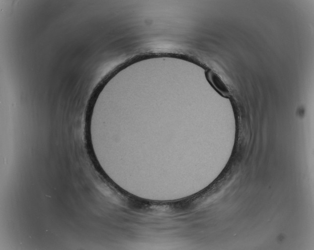 X0000100980391200807221238