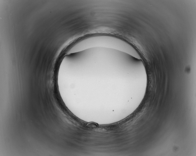 X0000100980392200807221238