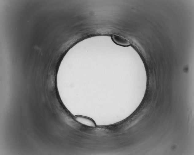 X0000100980393200807221238