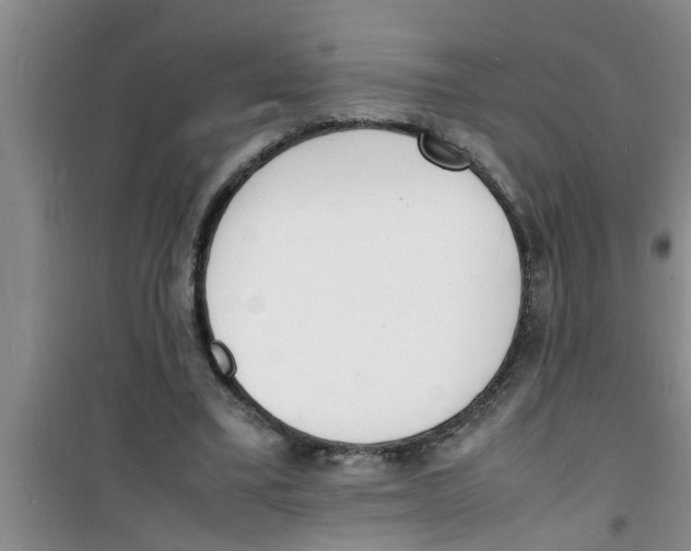 X0000100980395200807221238