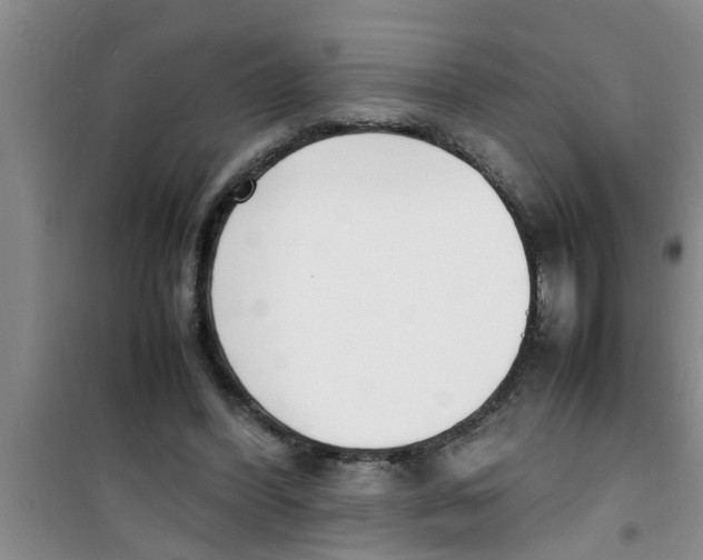 X0000100980396200807221238