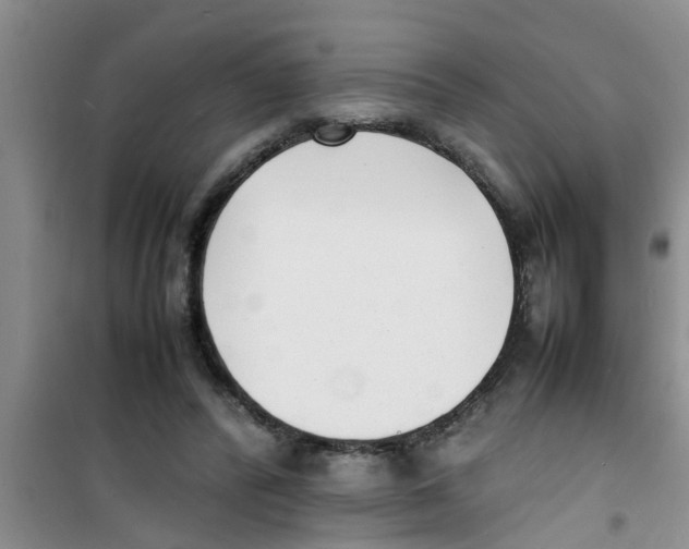 X0000100980400200807221238