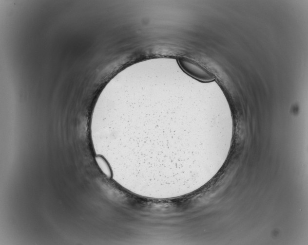 X0000100980401200807221238