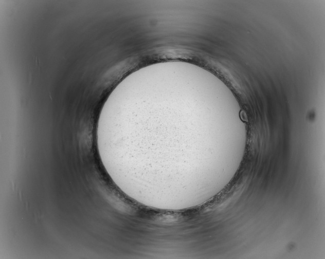 X0000100980402200807221238