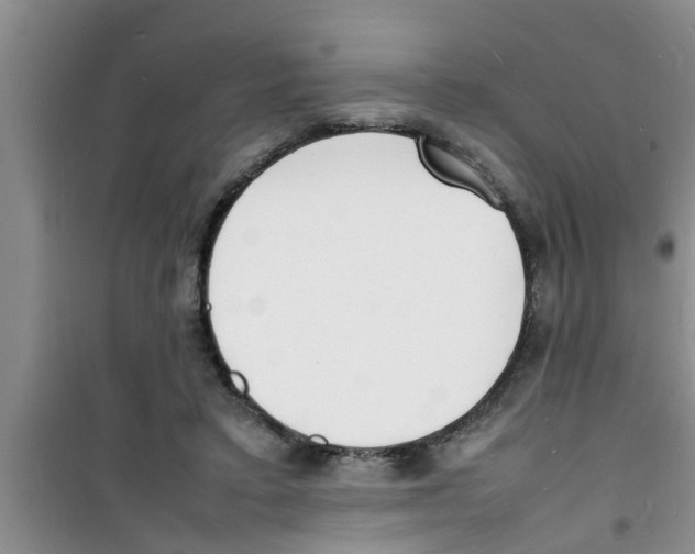 X0000100980403200807221238