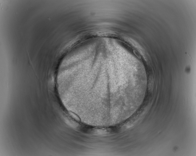 X0000100980405200807221238