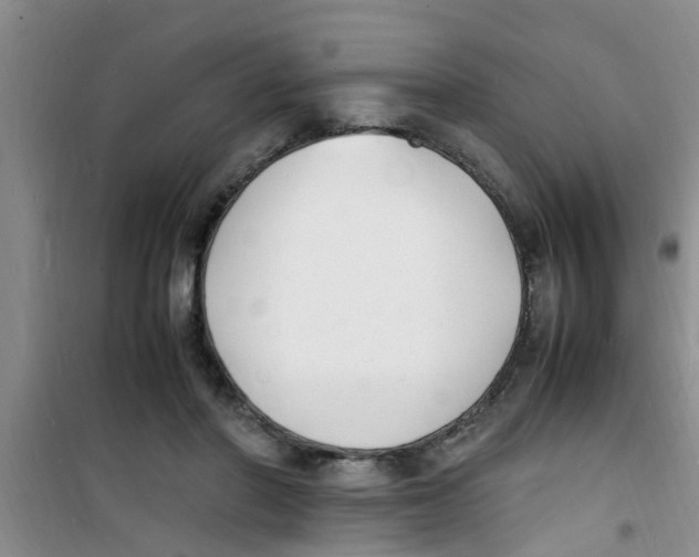 X0000100980406200807221238