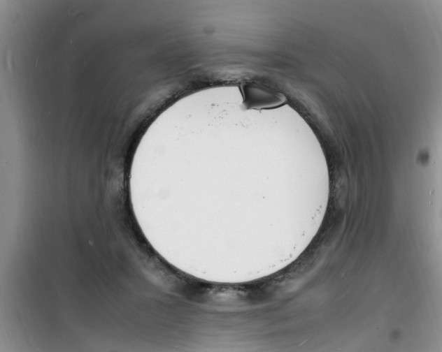 X0000100980407200807221238