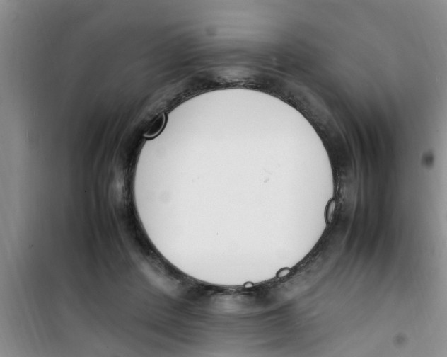 X0000100980408200807221238