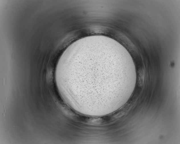 X0000100980410200807221238