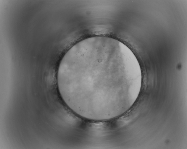 X0000100980411200807221238