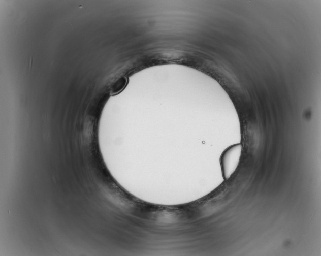 X0000100980412200807221238