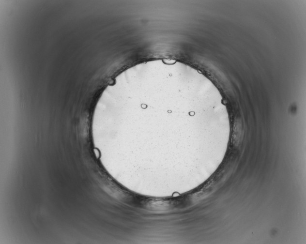 X0000100980413200807221238